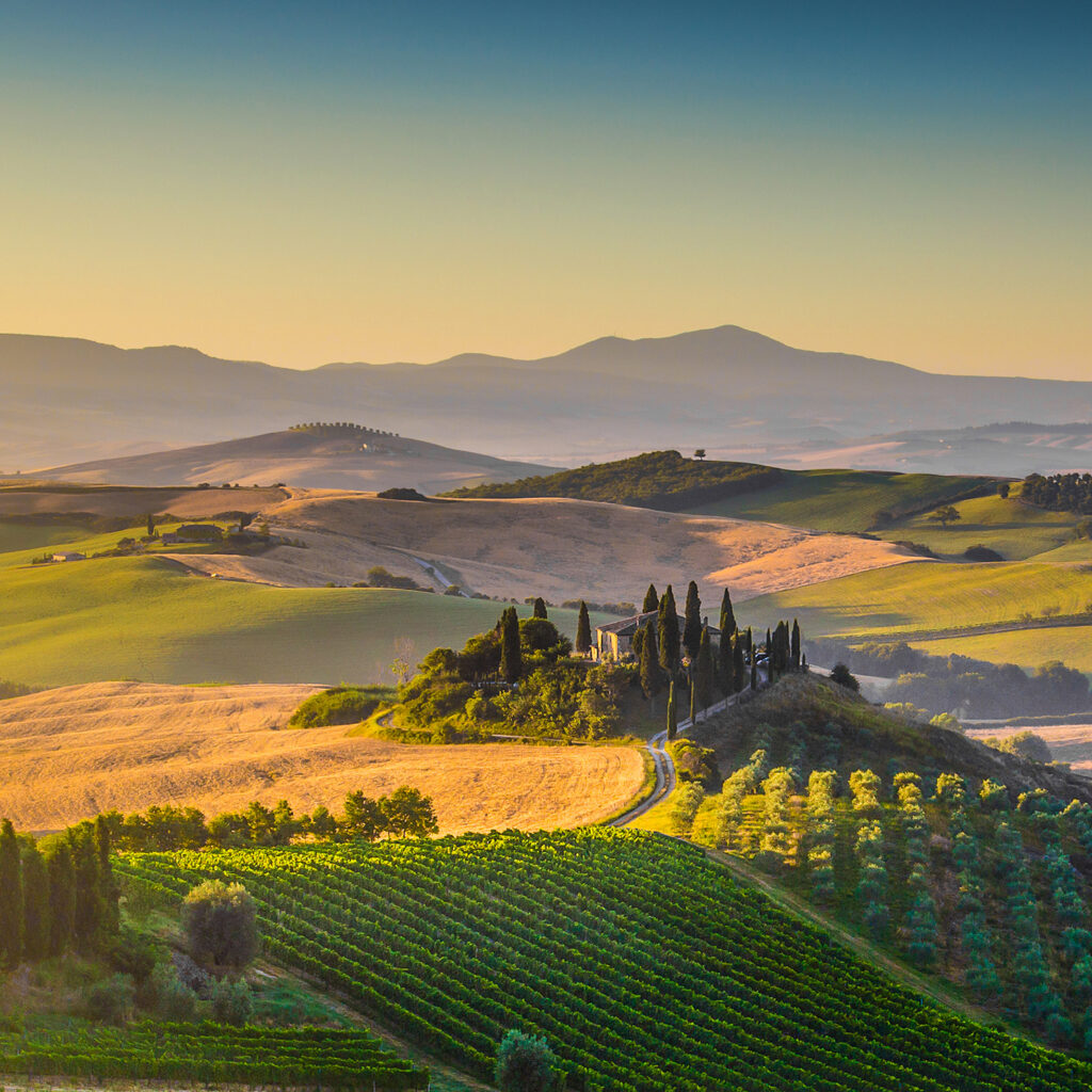 tour val d'orcia driver limotuscany